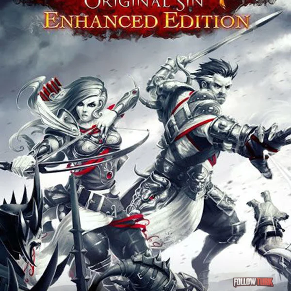 Divinity: Original Sin Enhanced Edition - FollowTurk